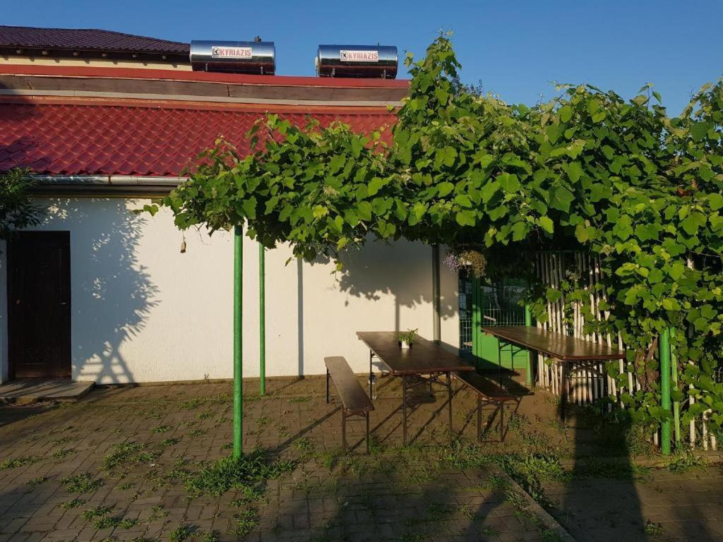 Vila Orizont Venus Εξωτερικό φωτογραφία