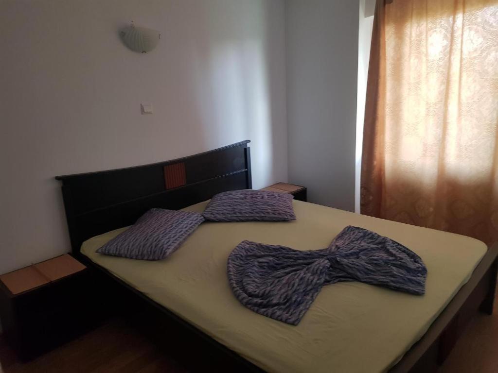 Vila Orizont Venus Εξωτερικό φωτογραφία